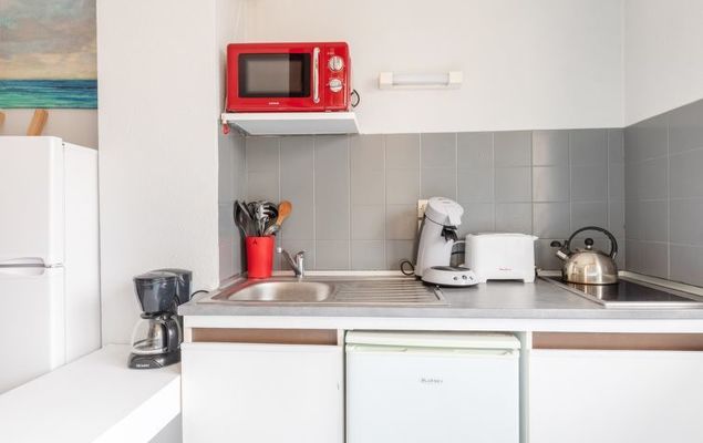 Les Hélianthes 5 - Photo 3