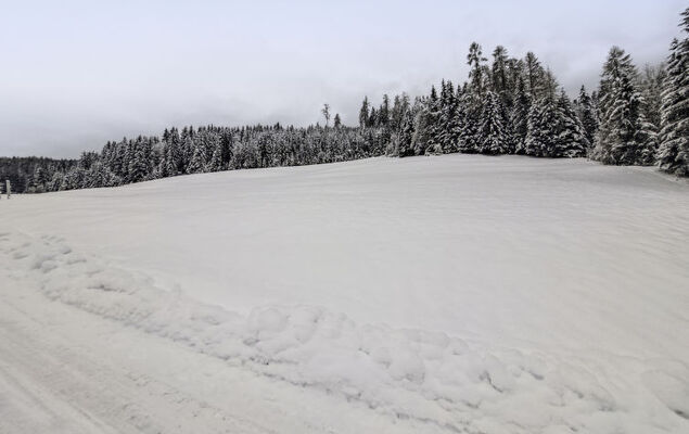 Hettegg Lehen - Photo 47