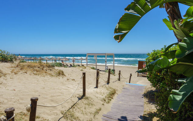 Alvarito Playa - Photo 28