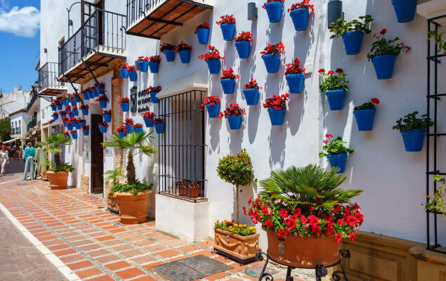 Alvarito Playa - Photo 38