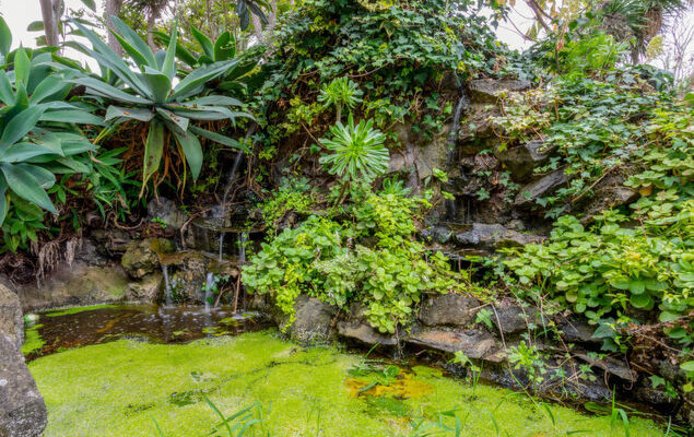 Villa Torrita - Photo 35