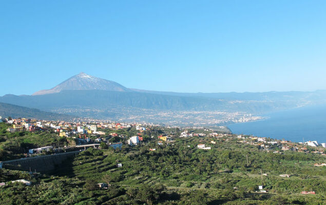 Villa Torrita - Photo 40