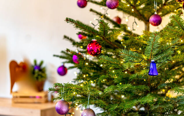 Ferienwohnung Plattner - Photo 53