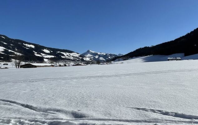 Sollereder - Photo 44