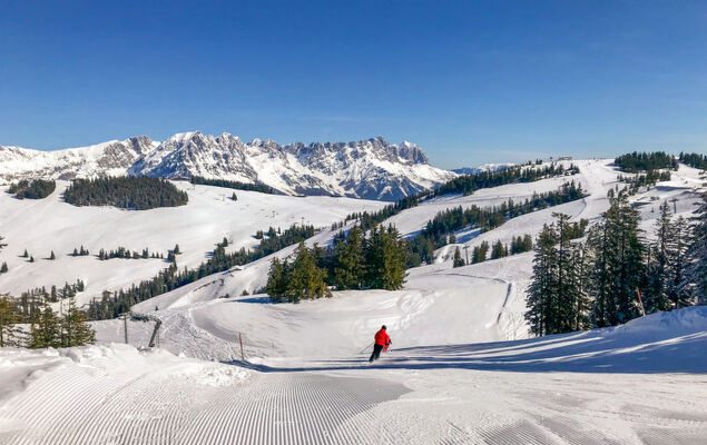 Sollereder - Photo 49