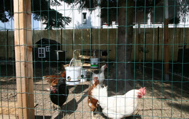 Diwani home stay Innsbruck - Photo 23